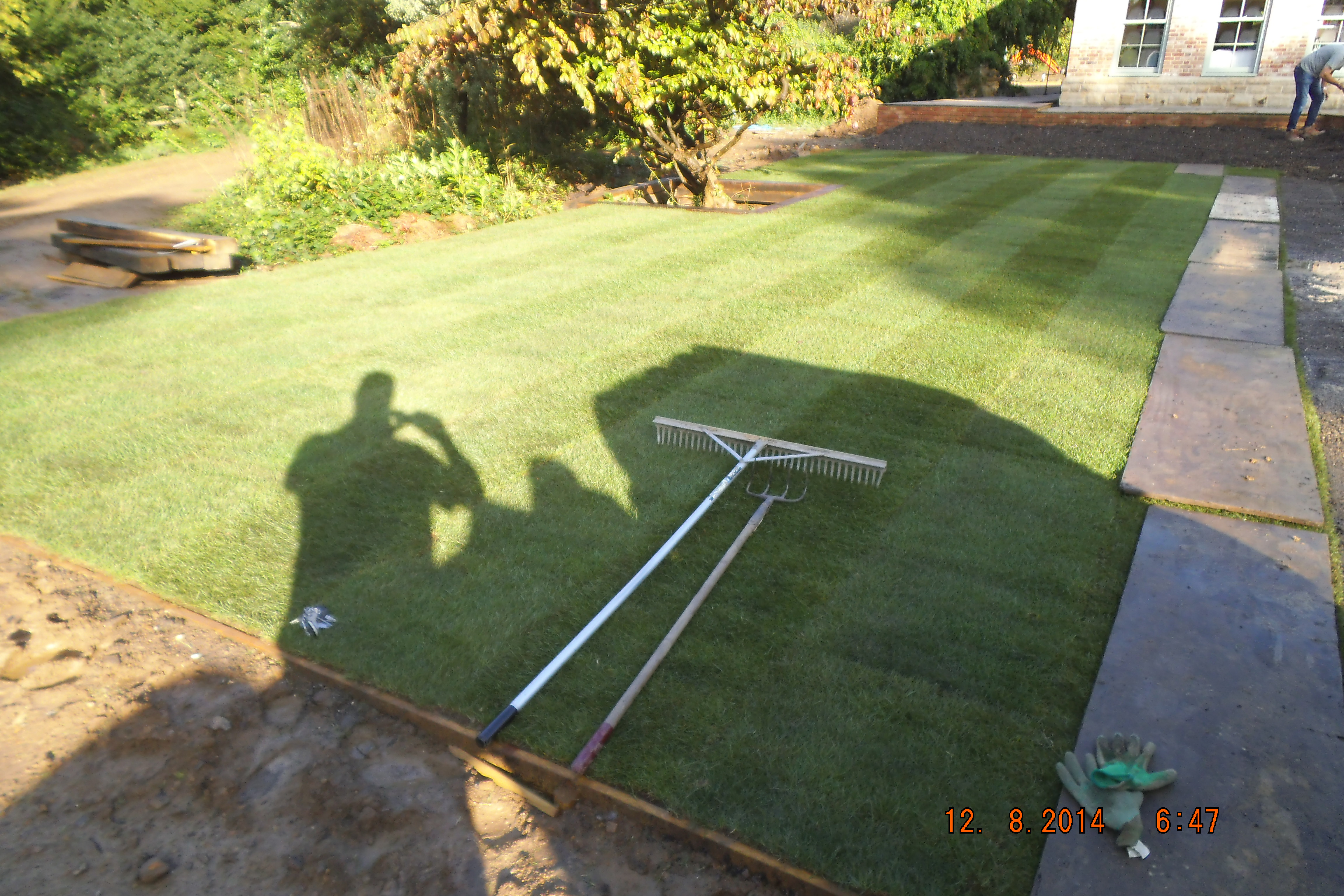 Freshly laid turf lawn
