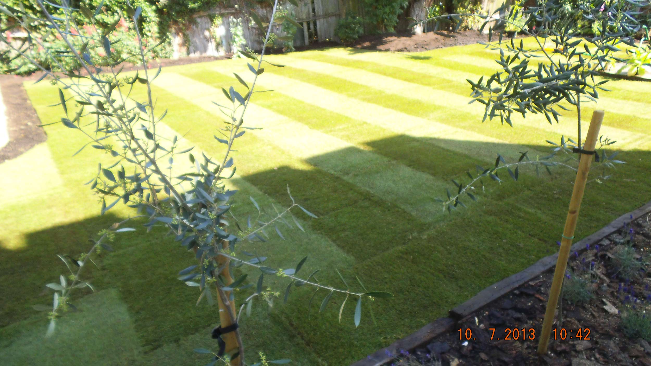 Turf being professionally laid