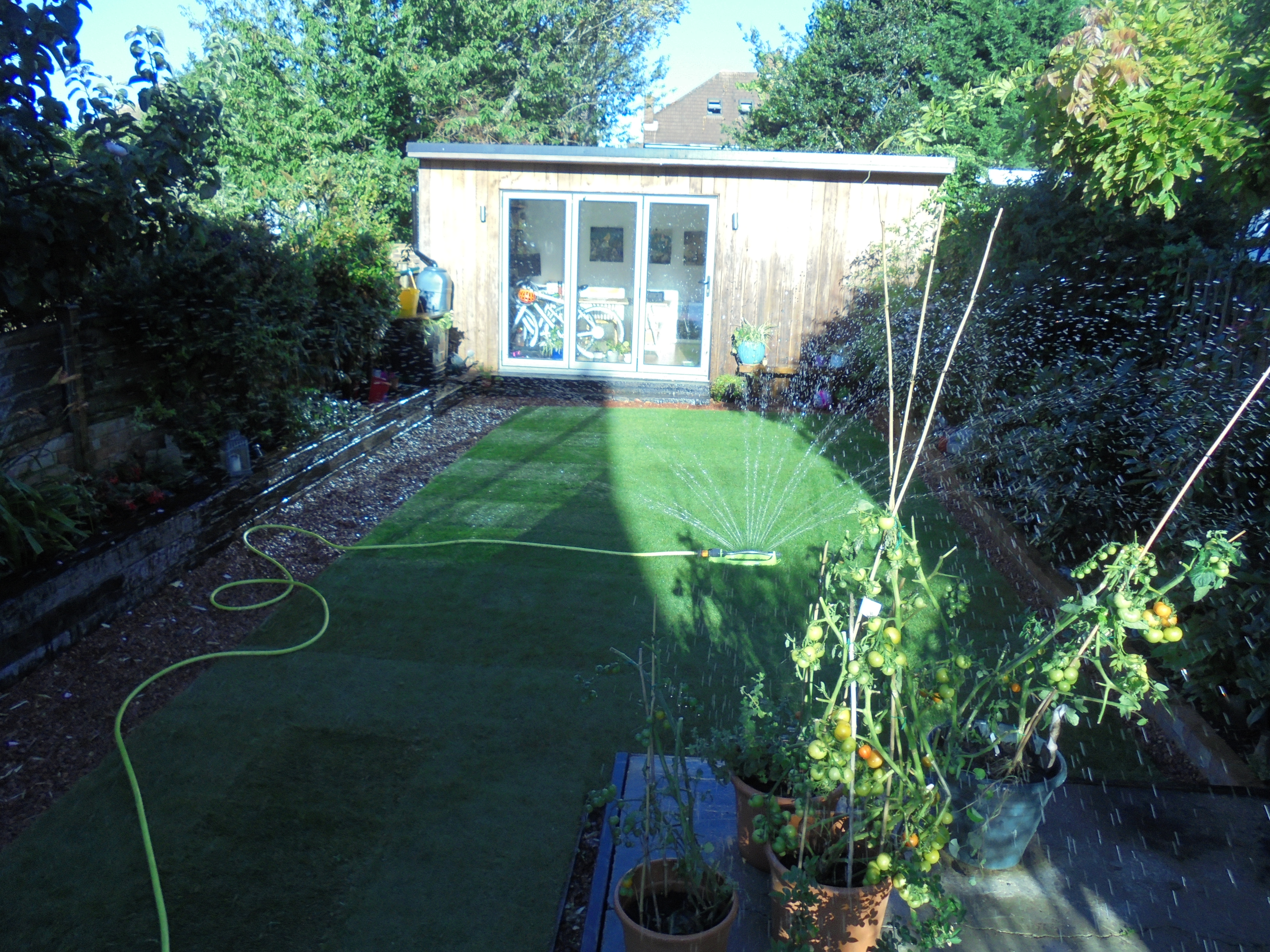 Garden turf project