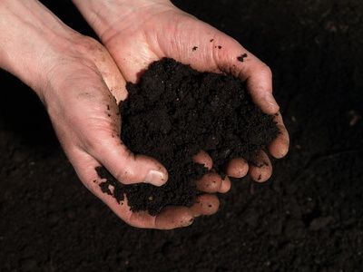 Premium topsoil